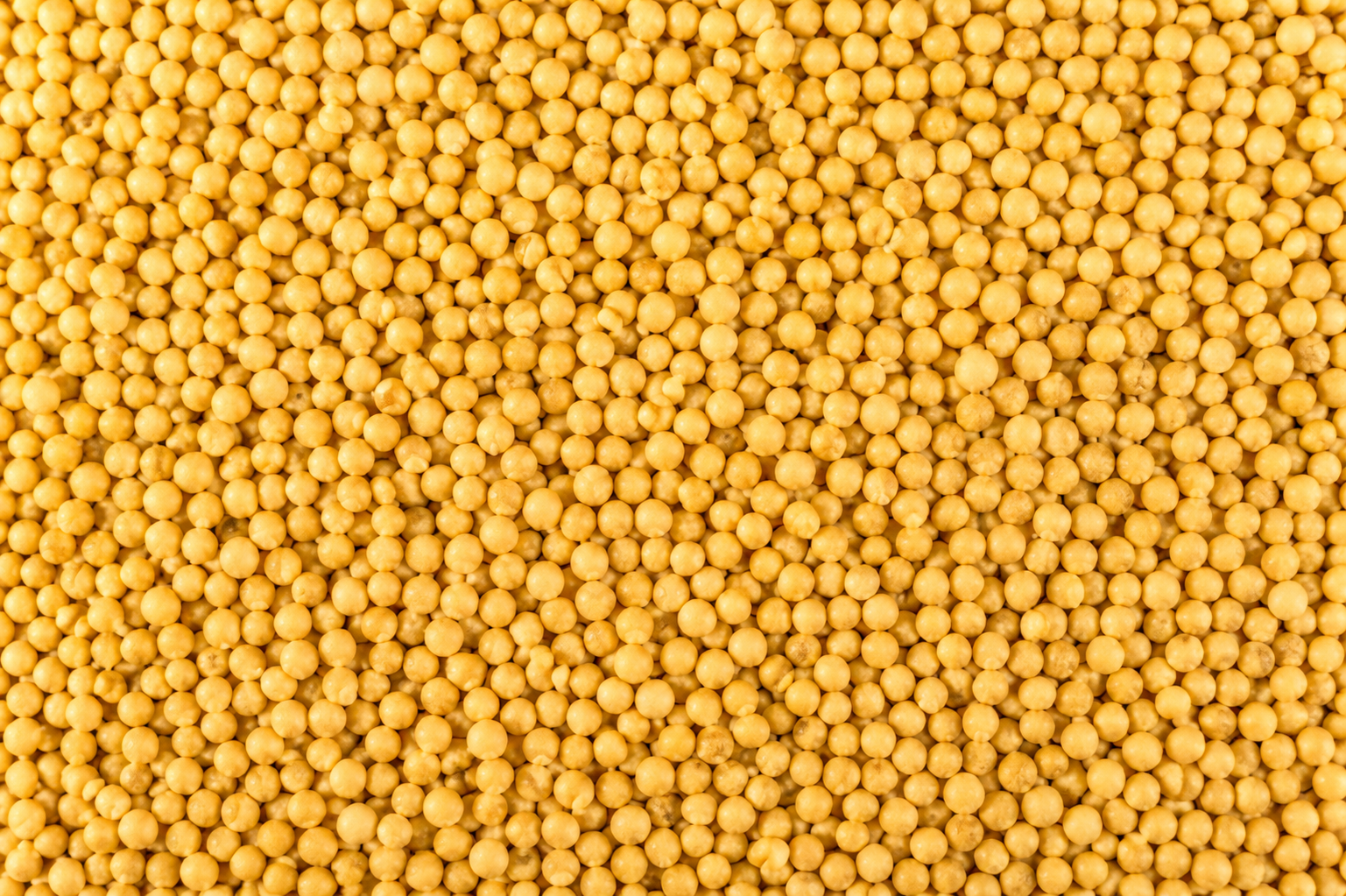 Soja GMO